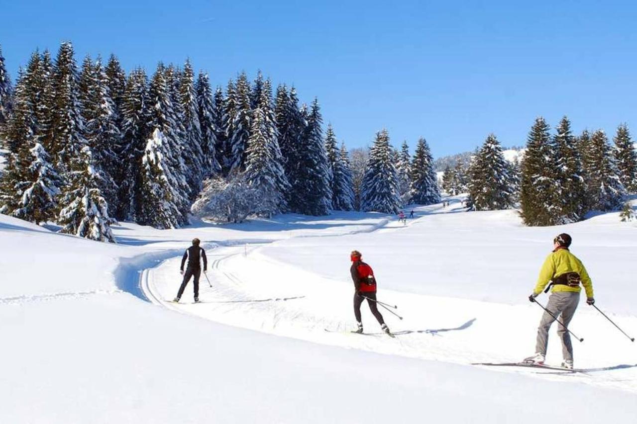 Le 211,Ski Et Randonnee, Lave Linge ,Parking Bernex Exterior foto