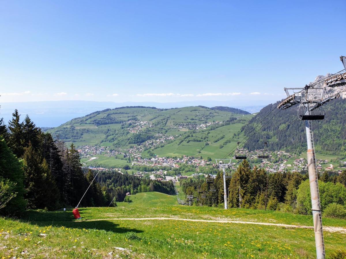 Le 211,Ski Et Randonnee, Lave Linge ,Parking Bernex Exterior foto